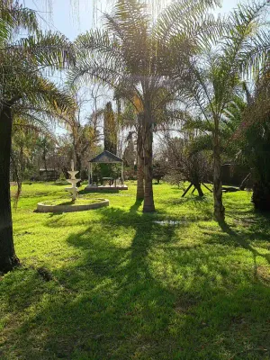 Jardín del predio con fuente y glorieta