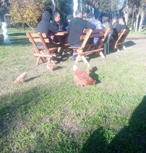Encuentro grupal en el parque, junto a los animales del predio